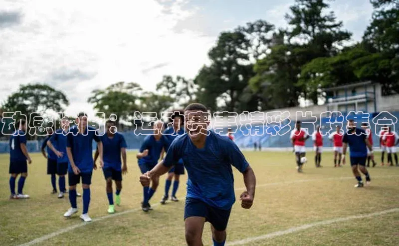 半岛·综合体育中国官网