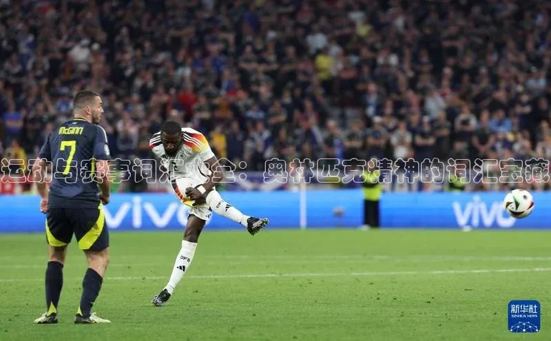 星空半岛·体育官网下载