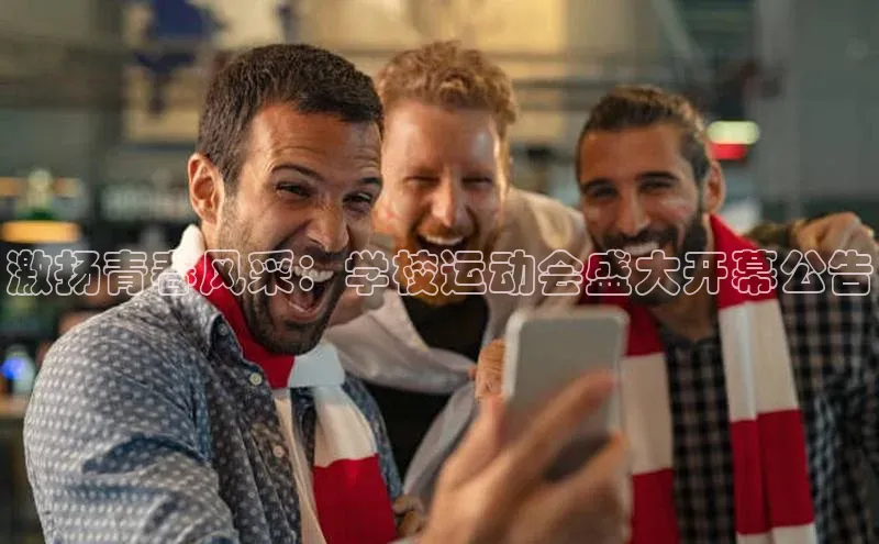 BoB半岛·体育网站